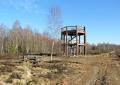 Naturschutzgebiet Königsbrücker Heide