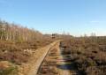 Ausflugsziel in der Königsbrücker Heide, der Heideturm