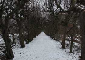 Wanderweg im Schlosspark Pulsnitz