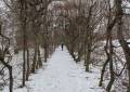 Ausflugsziel Schlosspark Pulsnitz in Sachsen