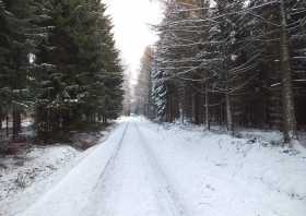 Der Maria-Josepha-Turm auf dem Totenstein bei Grüna nahe Chemnitz - Der Wanderweg