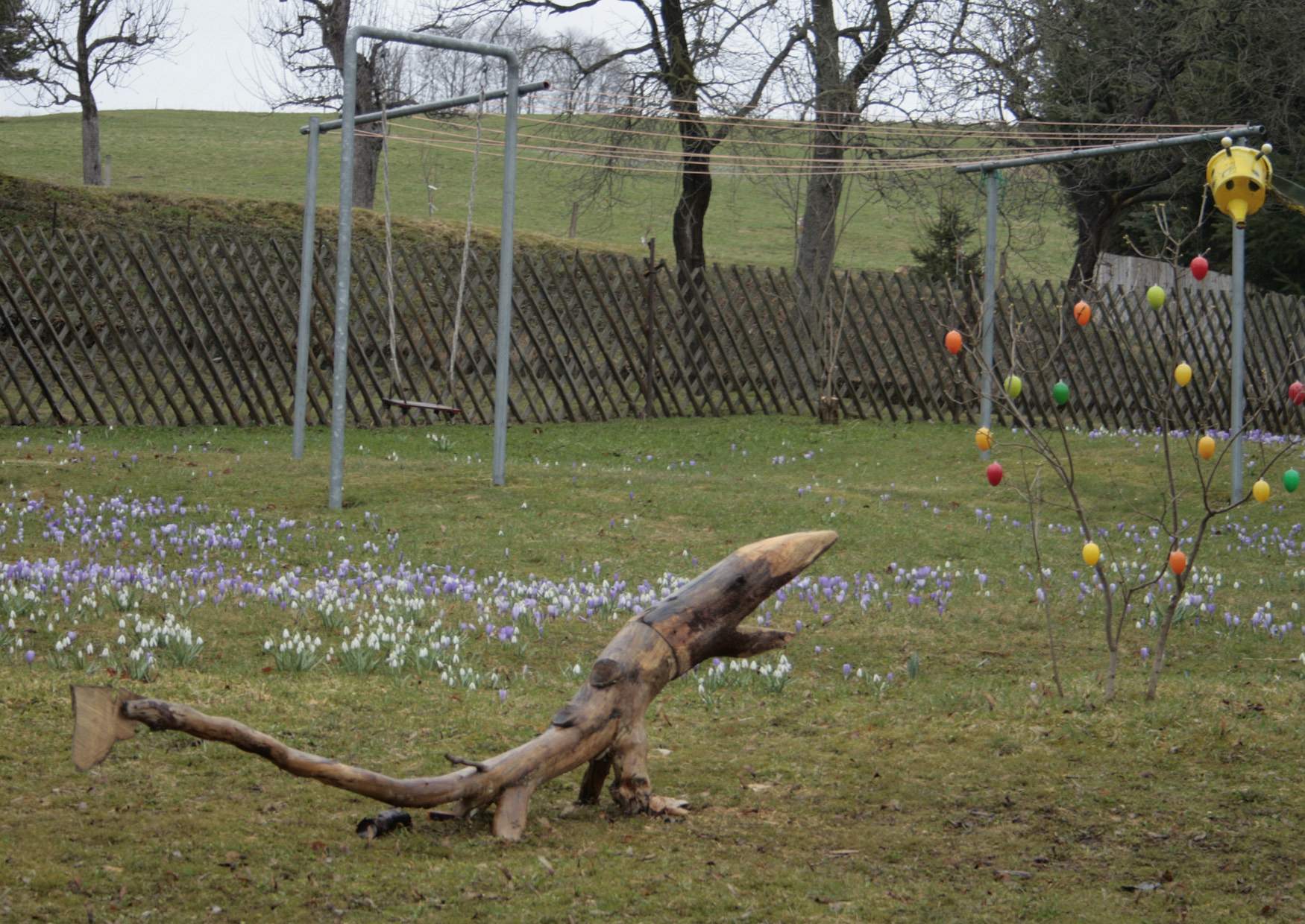 Ausflugsziel Krokuswiesen Drebach