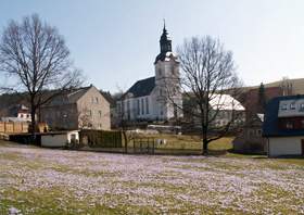 Naturschauspiel und Sehenswürdigkeit die blühenden Krokusse auf den Wiesen in Drebach.