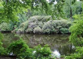 Ausflugsziel Rhododendronpark Kromlau der Rakotzsee