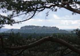 Die Festung Königstein umrahmt von Ästen