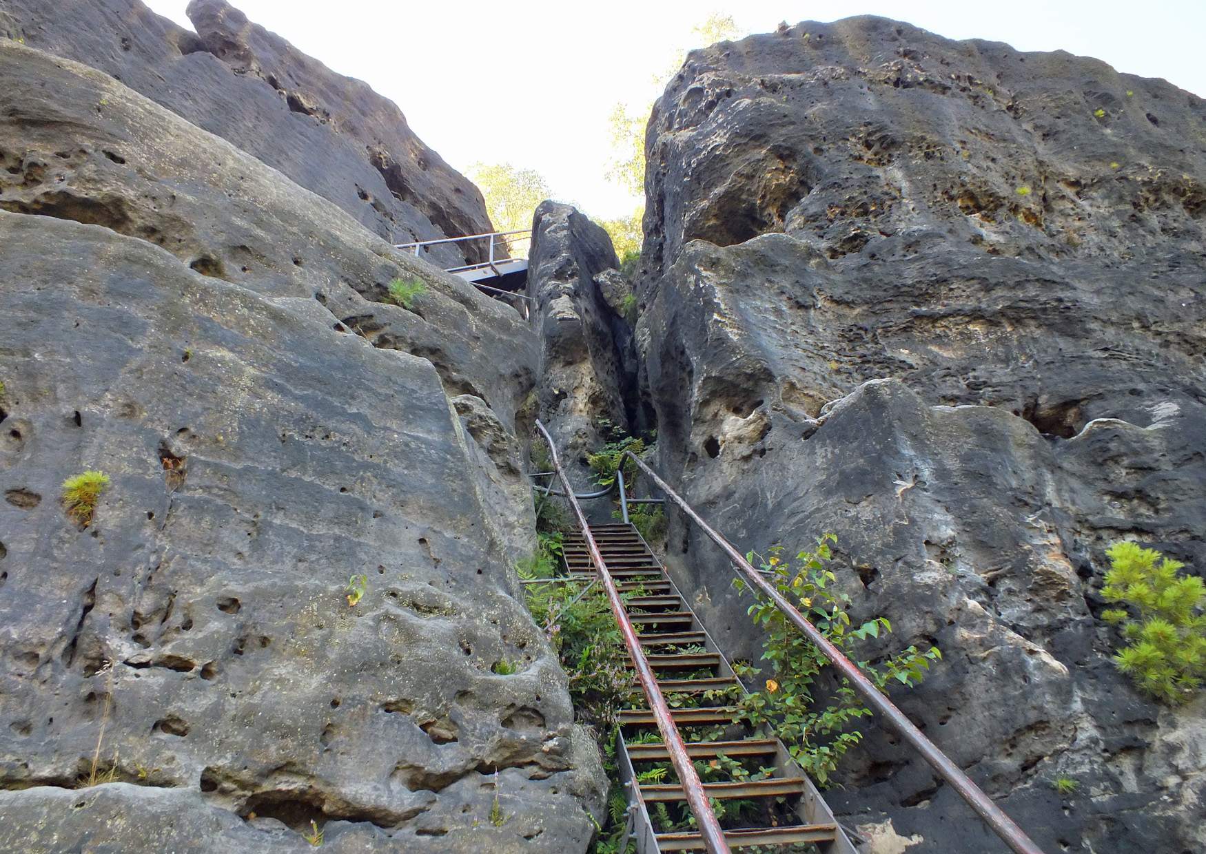 Aufstieg auf den Zirkelstein, die letzen Leitern vor dem Gipfel