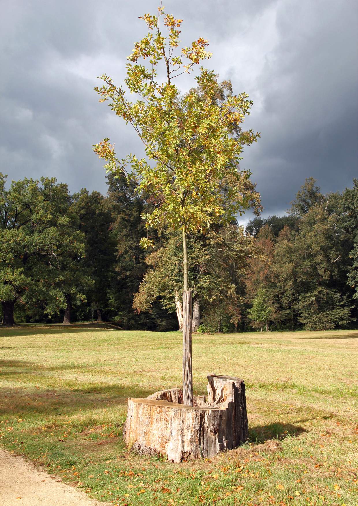 Ausflugsziel Muskauer Park in Bad Muskau