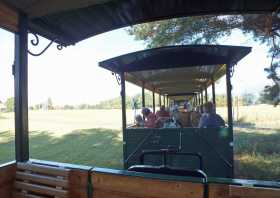 Die offenen Wagen der Waldeisenbahn Weißwasser Muskau