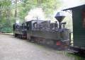 Ausflug mit der Waldeisenbahn in den Fürst Pückler Park Bad Muskau