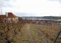 Blick von der Luisenburg auf die Heinrichsburg in Diesbar-Seußlitz