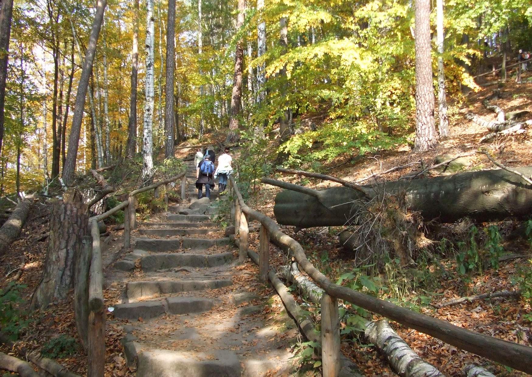 Wanderweg Lilienstein Nordaufstieg