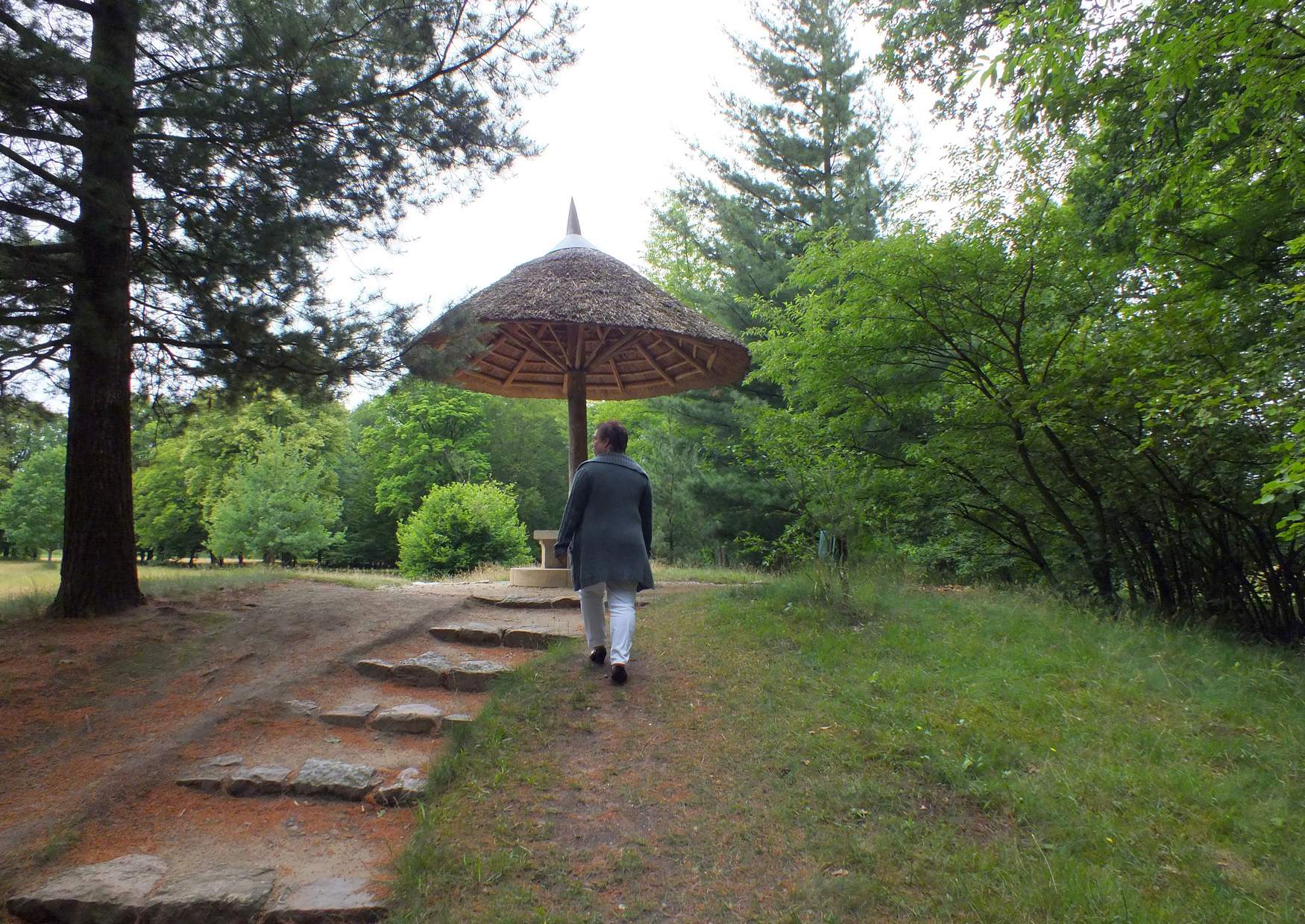 Parasol im Fürst-Pückler-Park