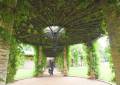 Pergola vor Schloss Branitz