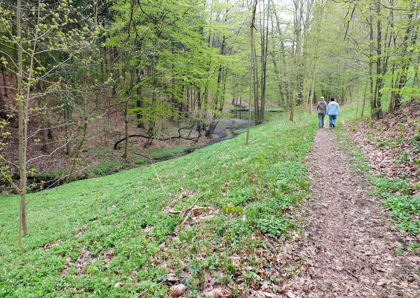 Der Vogelgrund zwischen Borsberg und Pillnitz