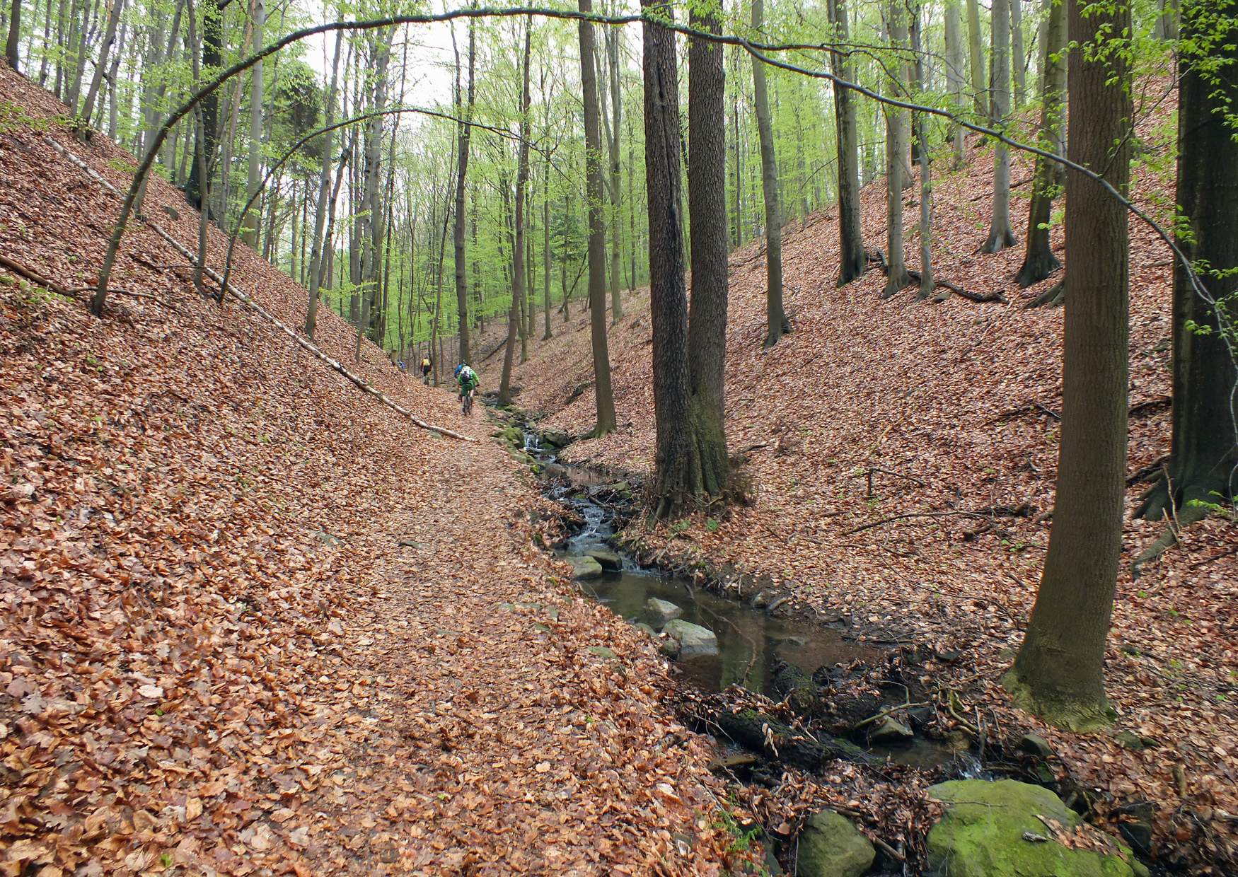 Outdoor Radtour Vogelgrund Pillnitz