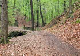 Wanderweg Friedrichsgrund Irminsul