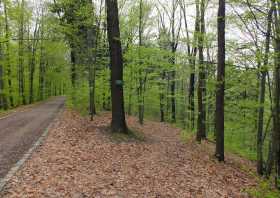 Meixmühle Abzweig des Wanderwegs in den Vogelgrund