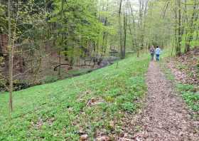 Der Vogelgrund zwischen Borsberg und Pillnitz