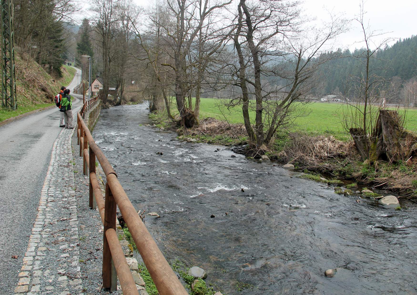 Preßnitztalweg entlang der Preßnitz zwischen Schmalzgrube und Forellenhof