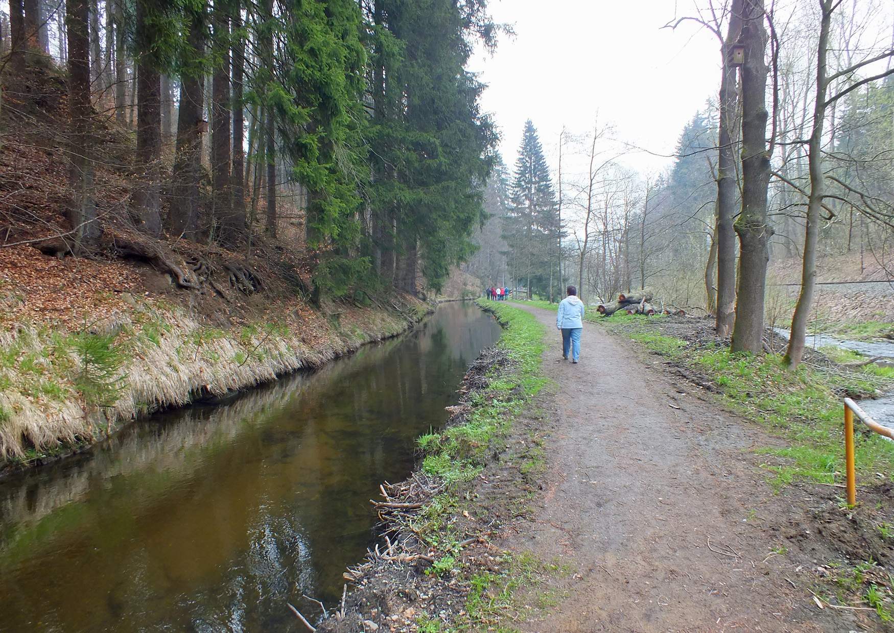 Wanderweg Preßnitztal vor Haltepunkt Wildbach