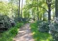 Park Bischheim Weg durch Rhododendron