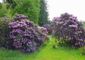 Besuch in Rathen im Rhododendronpark Kleine Bastei