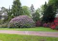 Sehenswürdigkeit Rhododendronpark Kleine Bastei Rathen