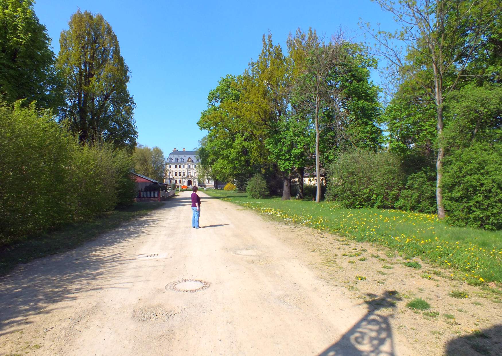 Zufahrt zum Schloss Altdöbern