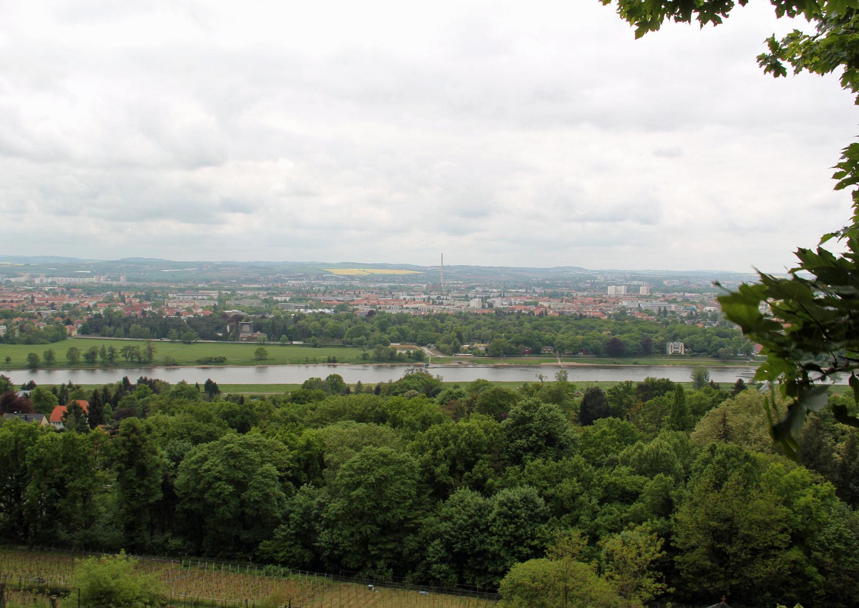 Blick vom Sächsischen Weinwanderweg