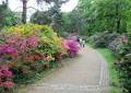 Ausflugsziel Rhododendronpark Dresden-Wachwitz