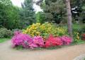 Sehenswürdigkeit Rhododendronpark Dresden-Wachwitz