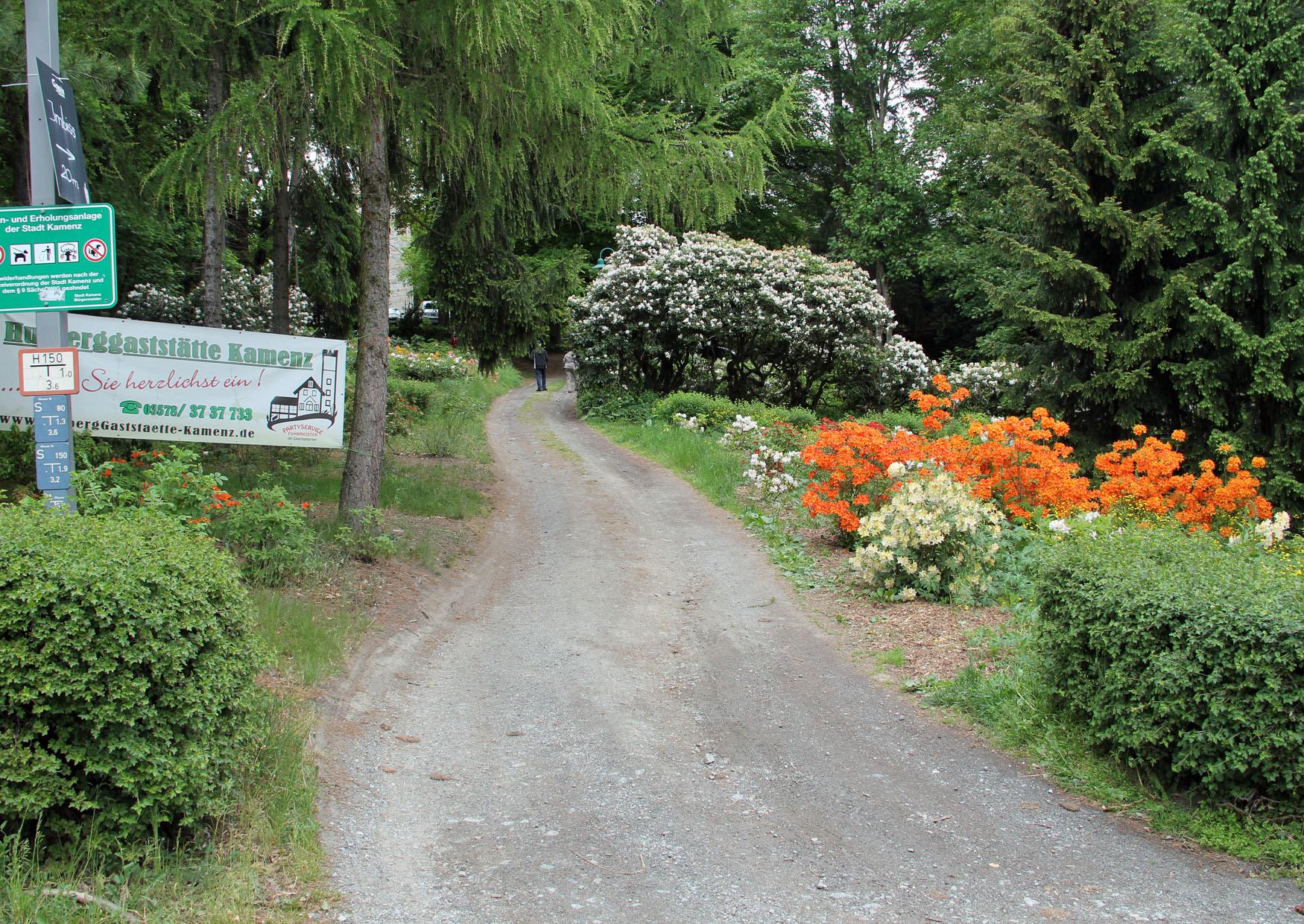 Hutberg Kamenz Anfang Mai 2014 ein kleiner Ausflug