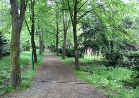 Von Bäumen gesäumter Weg auf den Kamenzer Hutberg