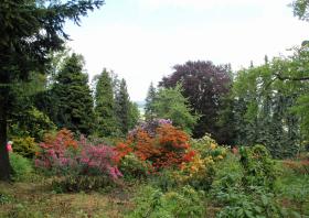 Rhododendronpark am Hutberg Kamenz