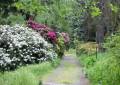 Beliebtes Ausflugsziel mit seinem Rhododendronpark ist der Hutberg Kamenz