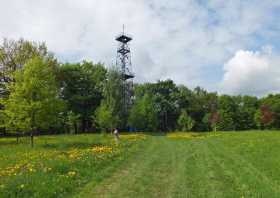 Pfefferberg Turm Schmölln Blumenwiesen