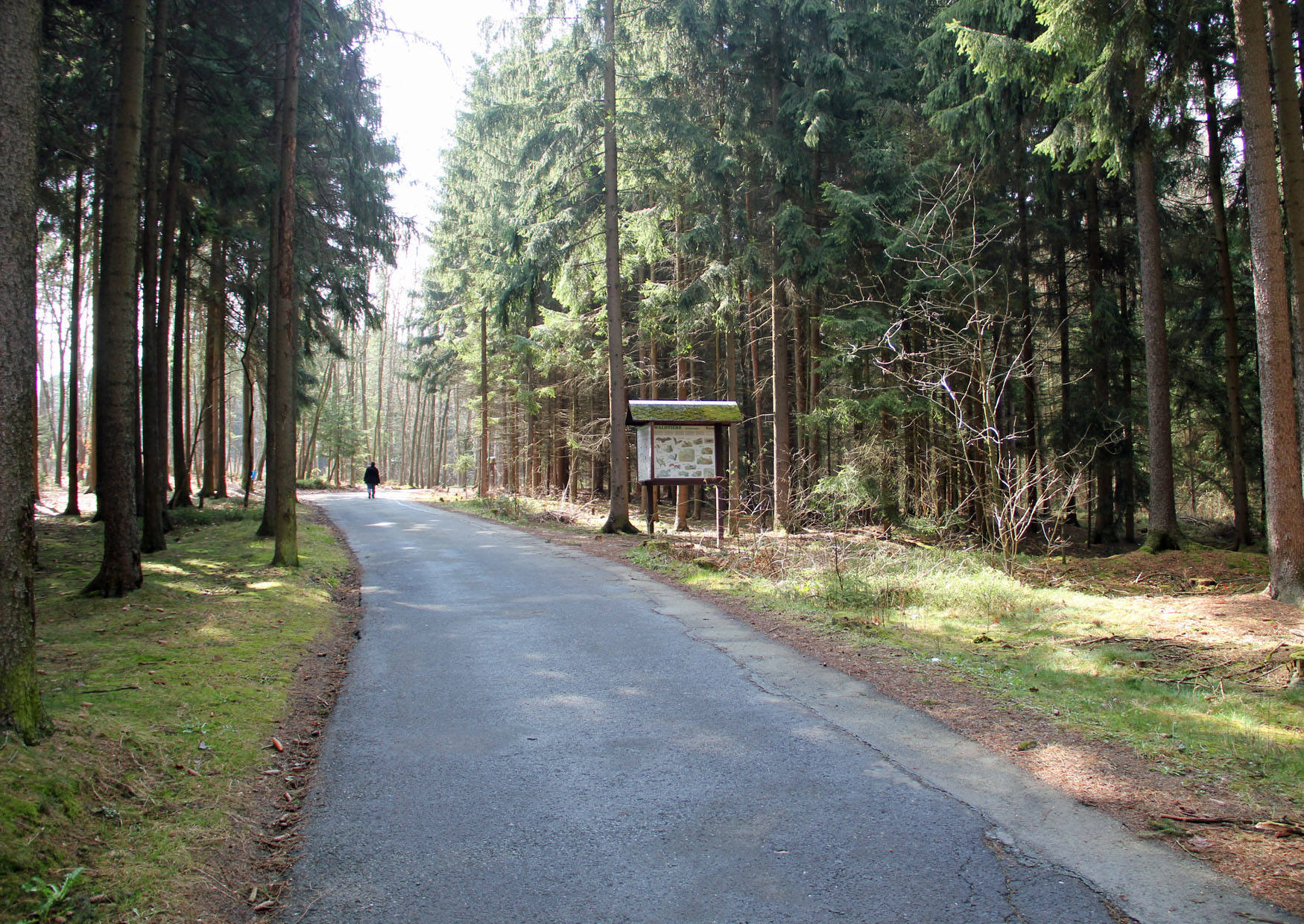 Wanderweg und Fahrstraße auf dem Kuhberg im Vogtland
