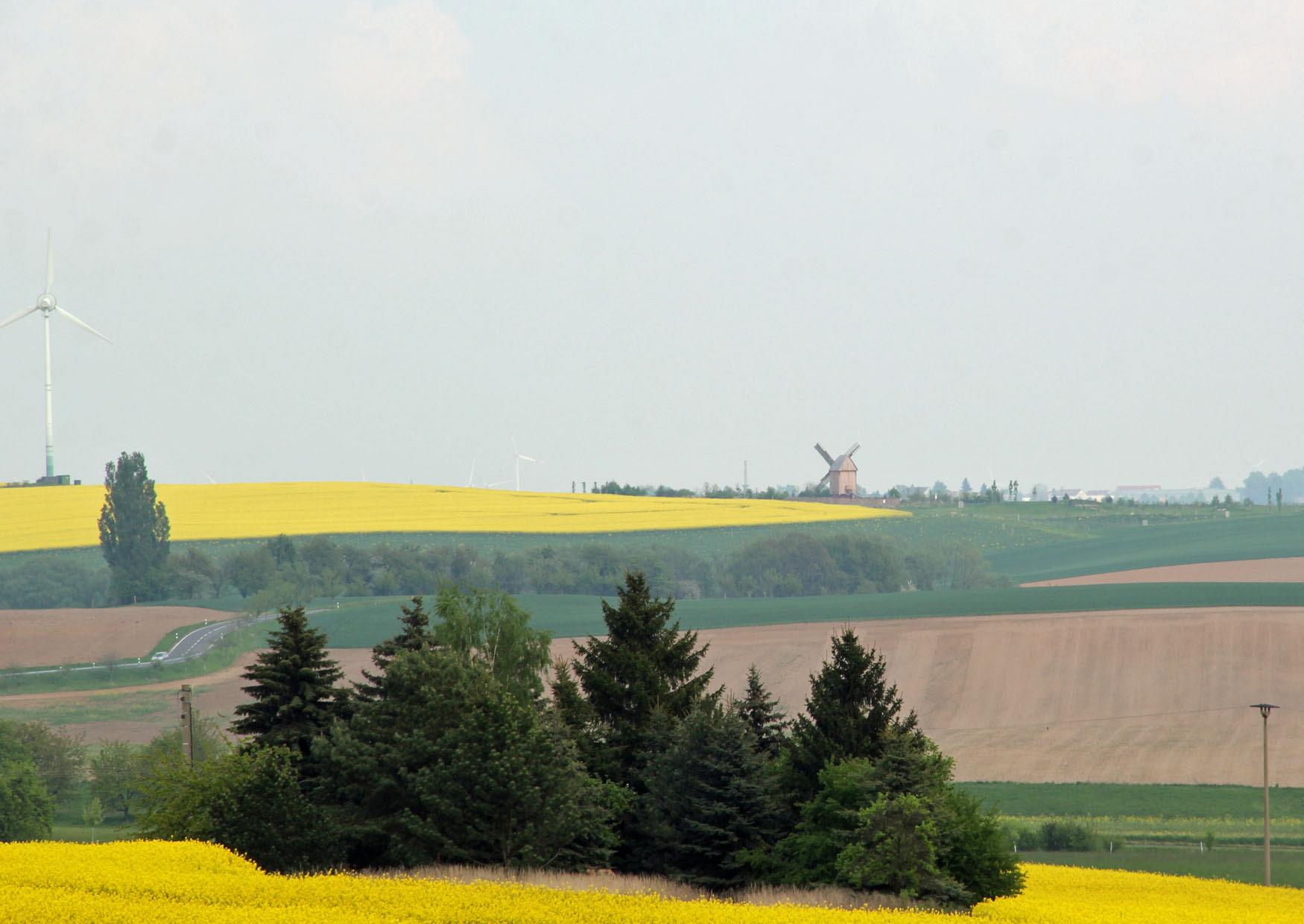 Alte Windmuehle bei Schkortitz