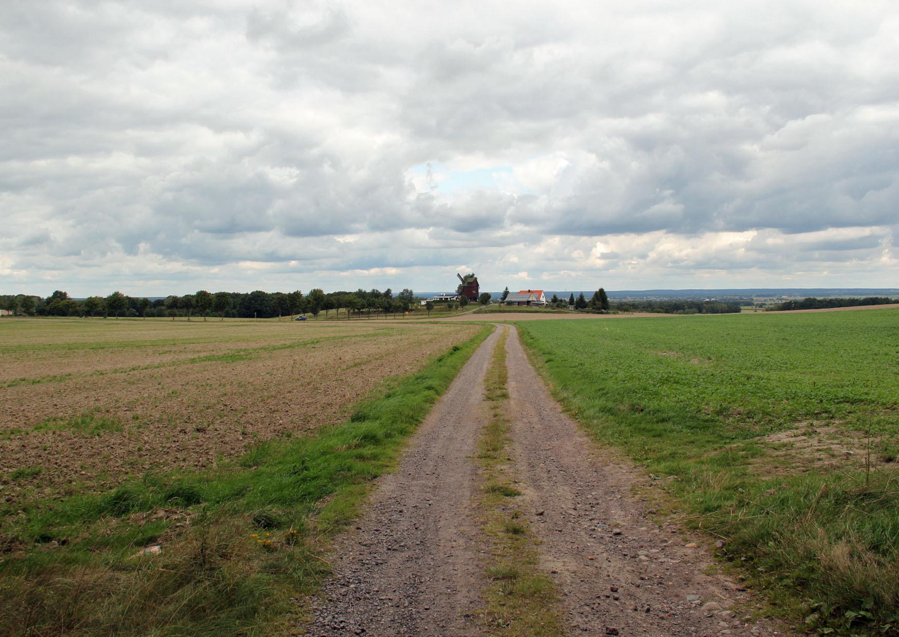 Wanderweg von Kobershain auf den Schildberg