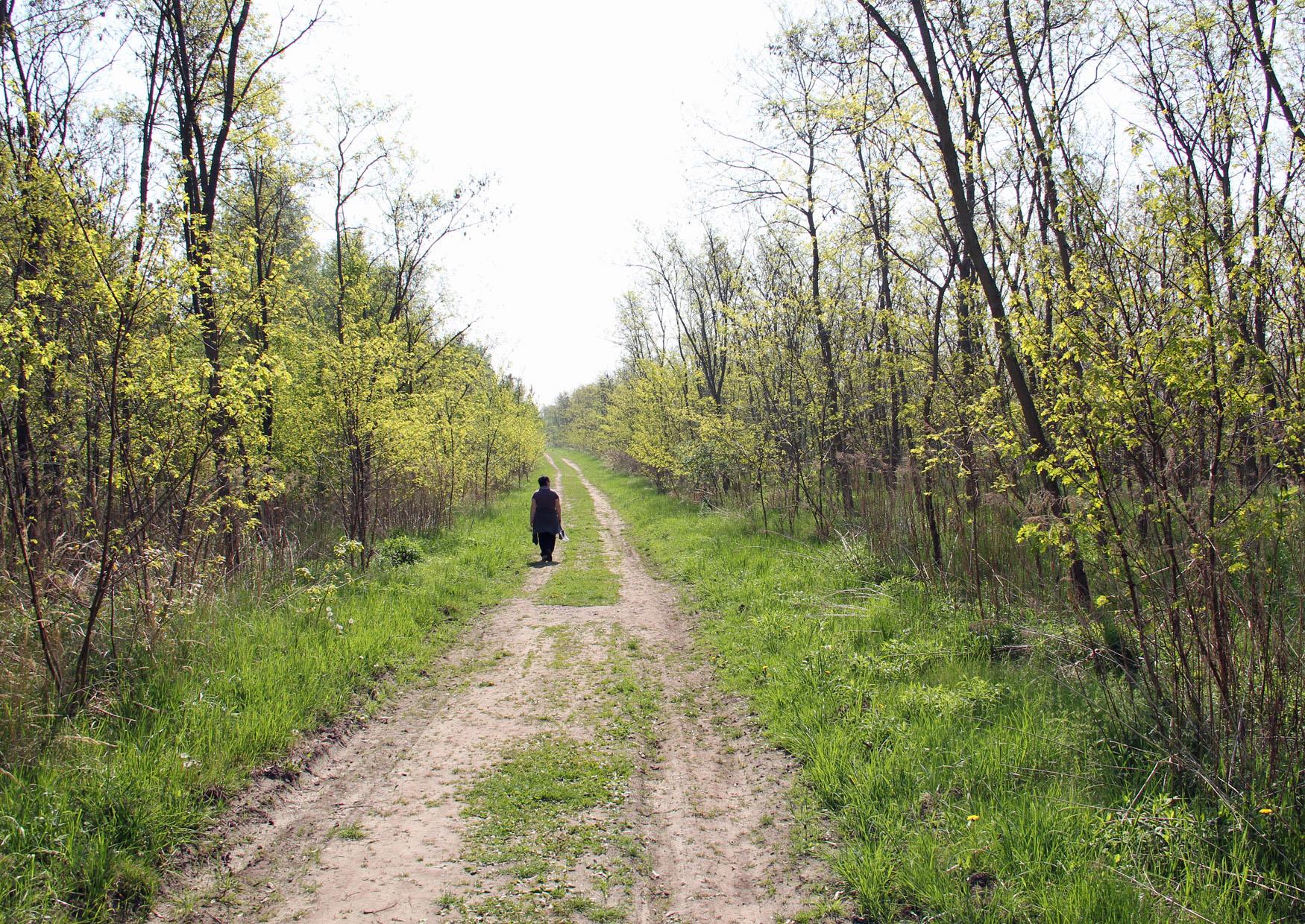 Wanderung durch den Robinienholz Hain