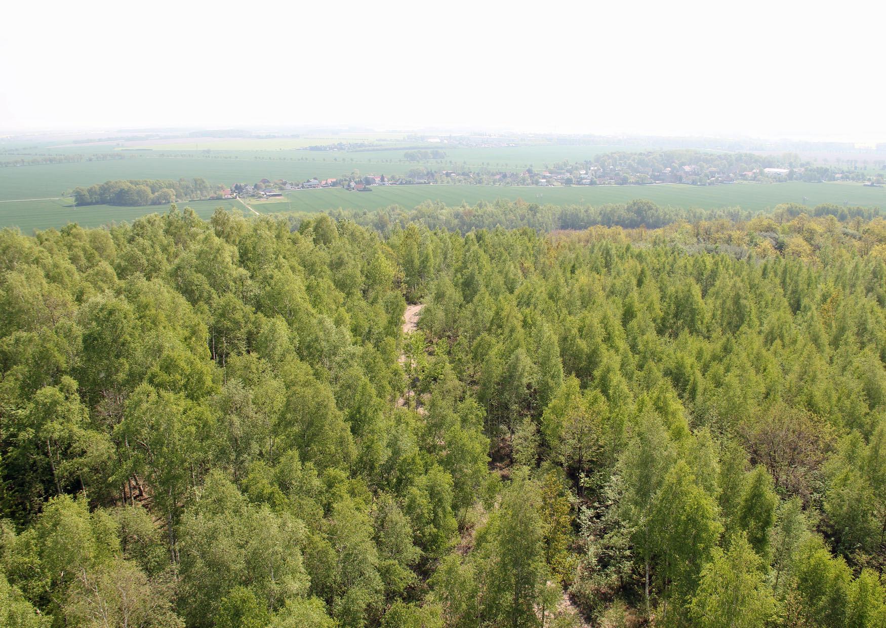 Der wahrscheinlich kürzeste Weg zum Aussichtsturm