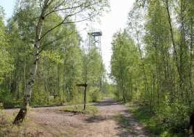 Kurz vor dem Aussichtsturm Trages