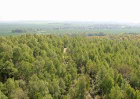 Der wahrscheinlich kürzeste Weg zum Aussichtsturm