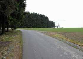 Aussichtsturm am Waldrand in Kühnhaide nahe Aue