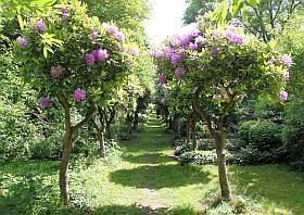 Rhododendronpark Südfriedhof Leipzig