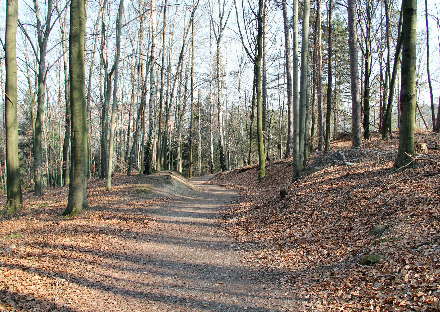 Wanderweg zum Hockstein