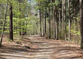 Wanderweg von den Schwedenlöchern zur Bastei