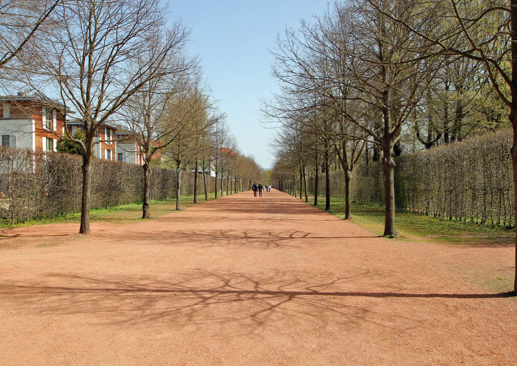 Hauptallee Barockgarten Lichtenwalde