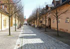 Spaziergang Schlossallee Lichtenwalde