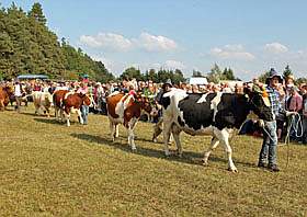 Niederlausitzer Almabtrieb in Lieskau